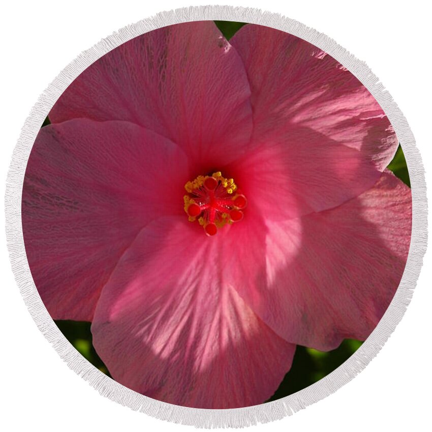 Hibiscus Round Beach Towel featuring the photograph Hibiscus by David Weeks