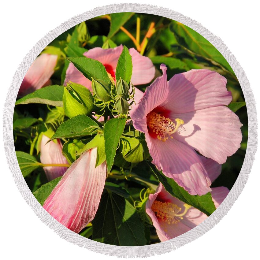Hibiscus Round Beach Towel featuring the photograph Hibiscus In Summer by Angie Tirado
