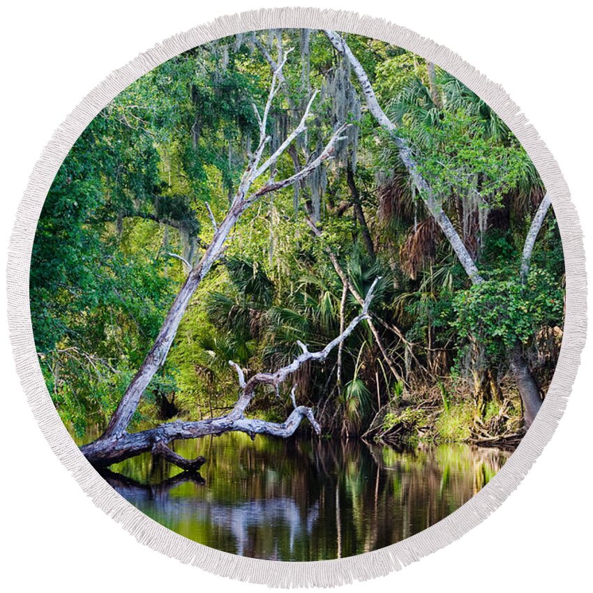 Florida Round Beach Towel featuring the photograph Hillsborough River at Morris Bridge Wilderness Park by Ed Gleichman