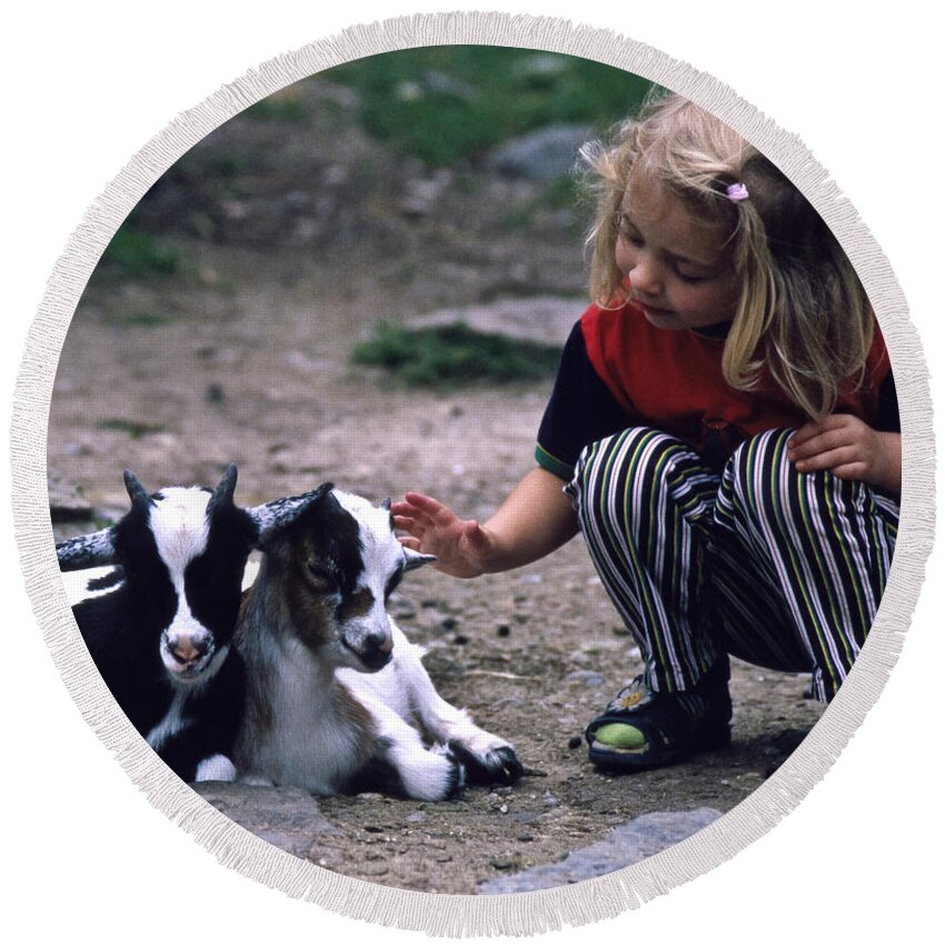 Nature Round Beach Towel featuring the photograph In The Petting Zoo by Heiko Koehrer-Wagner