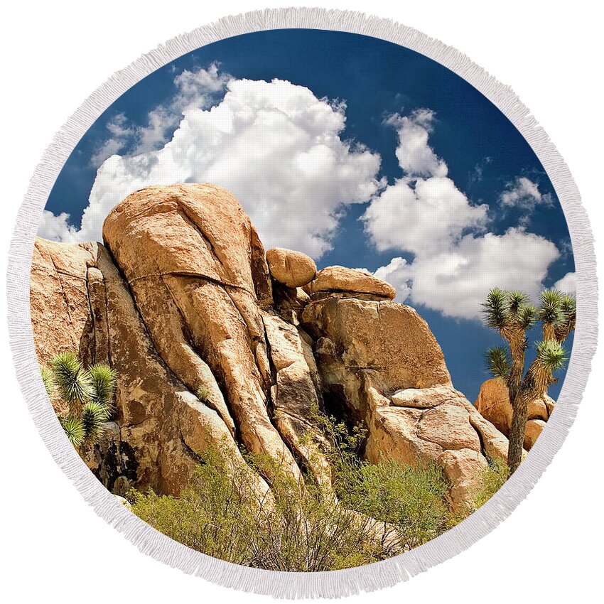 Endre Round Beach Towel featuring the photograph Joshua Tree by Endre Balogh