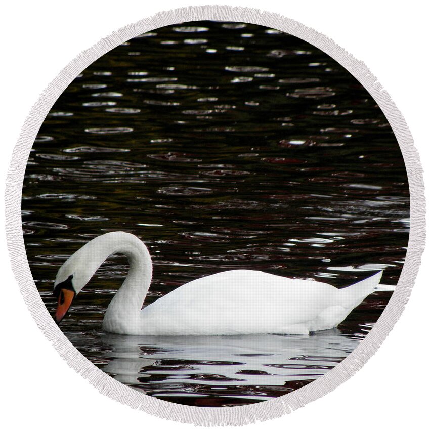 Swan Round Beach Towel featuring the photograph Just A Little Dribble by Kim Galluzzo