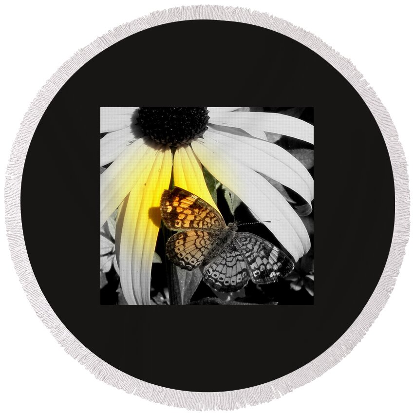 Butterfly Round Beach Towel featuring the photograph Just A Touch by Kim Galluzzo