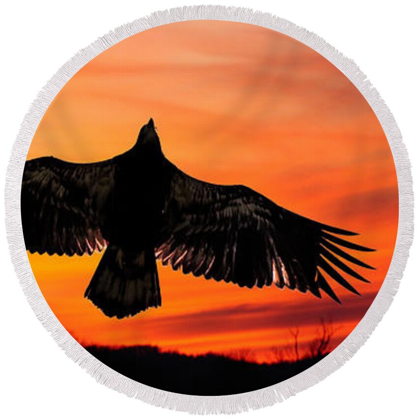 Red Sunset Round Beach Towel featuring the photograph Juvenile Sunset by Randall Branham