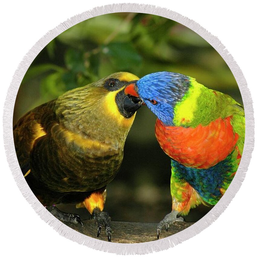 Lorikeet Round Beach Towel featuring the photograph Kissing Birds by Carolyn Marshall