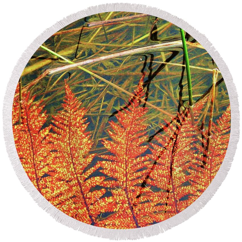 New Zealand Round Beach Towel featuring the photograph Lagoon Fern by Michele Penner
