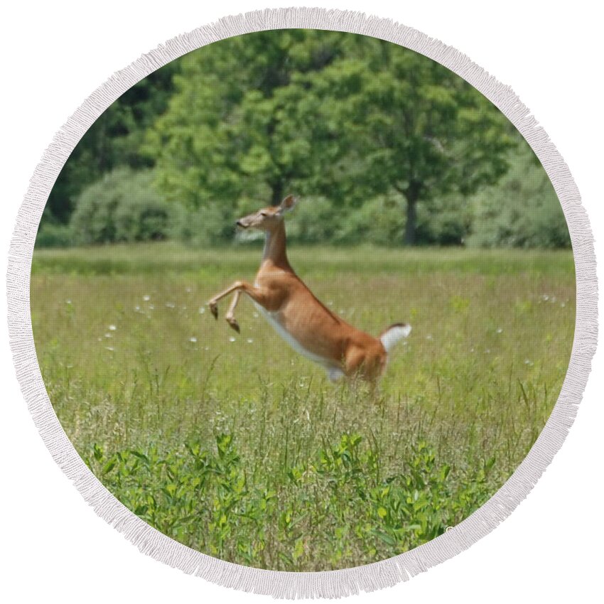 Leaping White-tail Deer Round Beach Towel featuring the photograph Leaping White-Tail Deer by Susan Stevens Crosby