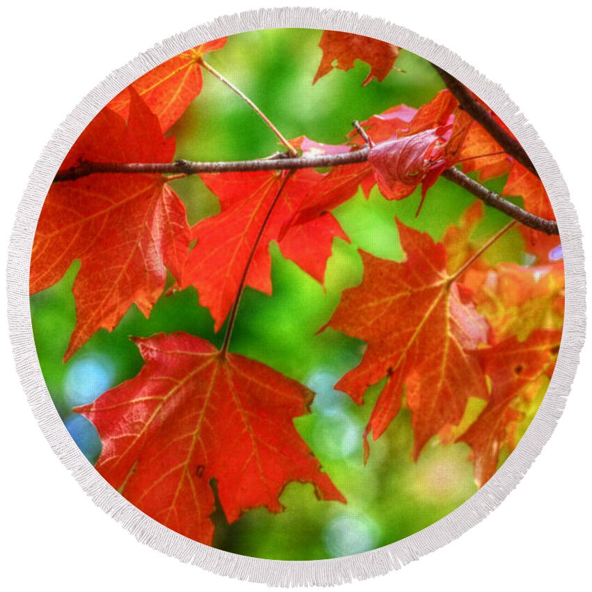 Autumn Round Beach Towel featuring the photograph Leaves of Red Autumn Vivid Colors by Peggy Franz