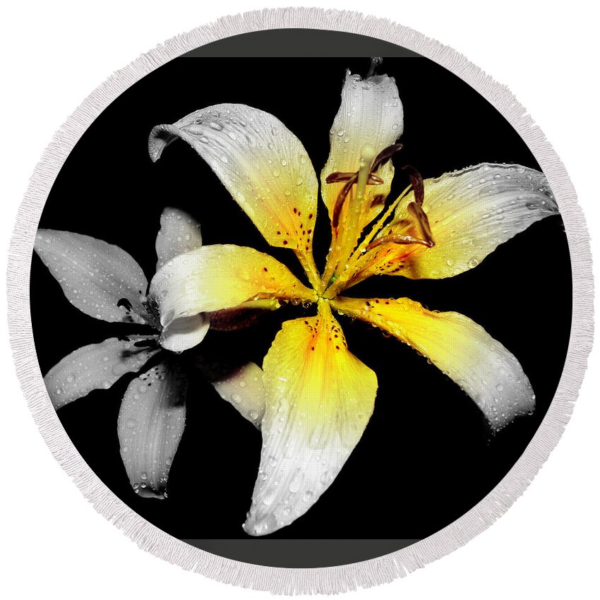 Lily Round Beach Towel featuring the photograph Lily In Focal Black And White by Kim Galluzzo