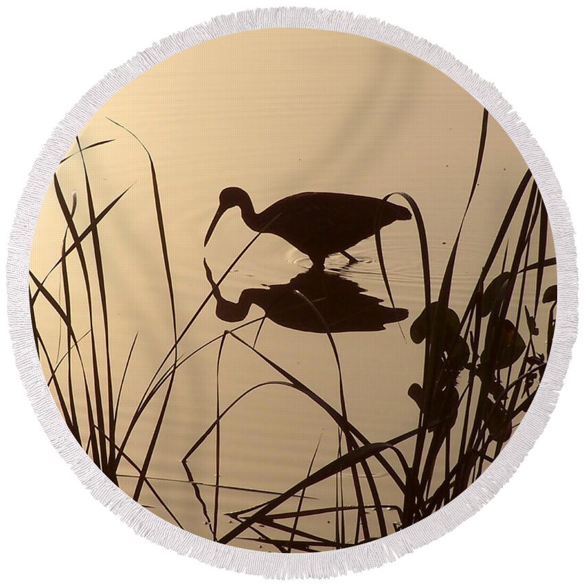 Nature Round Beach Towel featuring the photograph Limpkin at Dawn by Peggy Urban