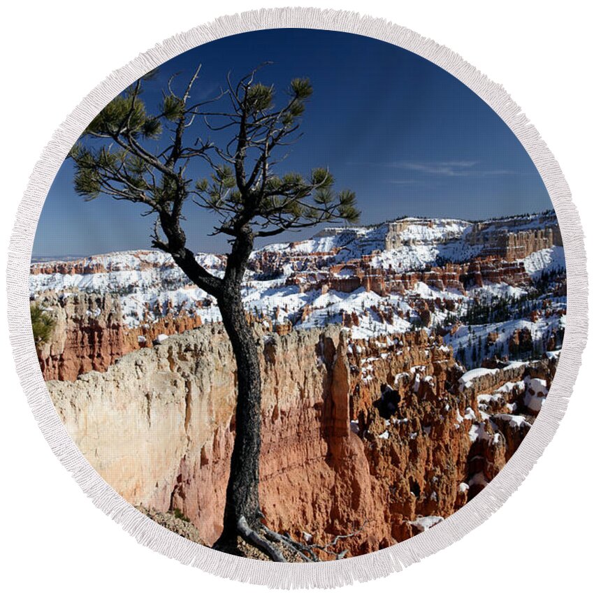 Bryce Canyon Round Beach Towel featuring the photograph Living on the Edge by Karen Lee Ensley