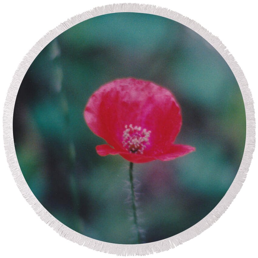Poppy Round Beach Towel featuring the photograph Lone Poppy by Susan Stevens Crosby