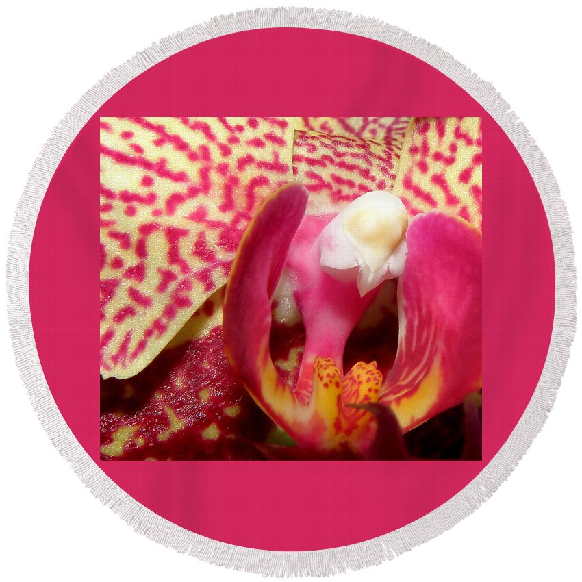 Orchid Round Beach Towel featuring the photograph Magical Beauty by Kim Galluzzo Wozniak