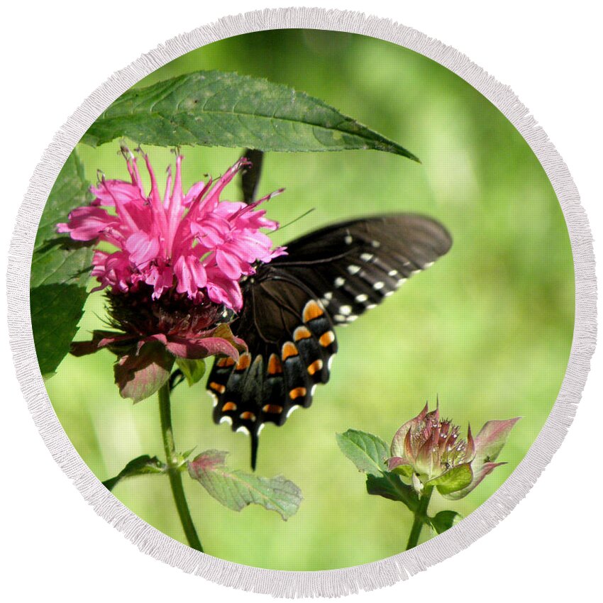 Butterfly Round Beach Towel featuring the photograph Monarch on a Monarda by Kim Galluzzo