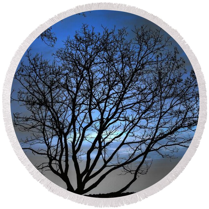 Tree Round Beach Towel featuring the photograph Night on the River by Dan Stone