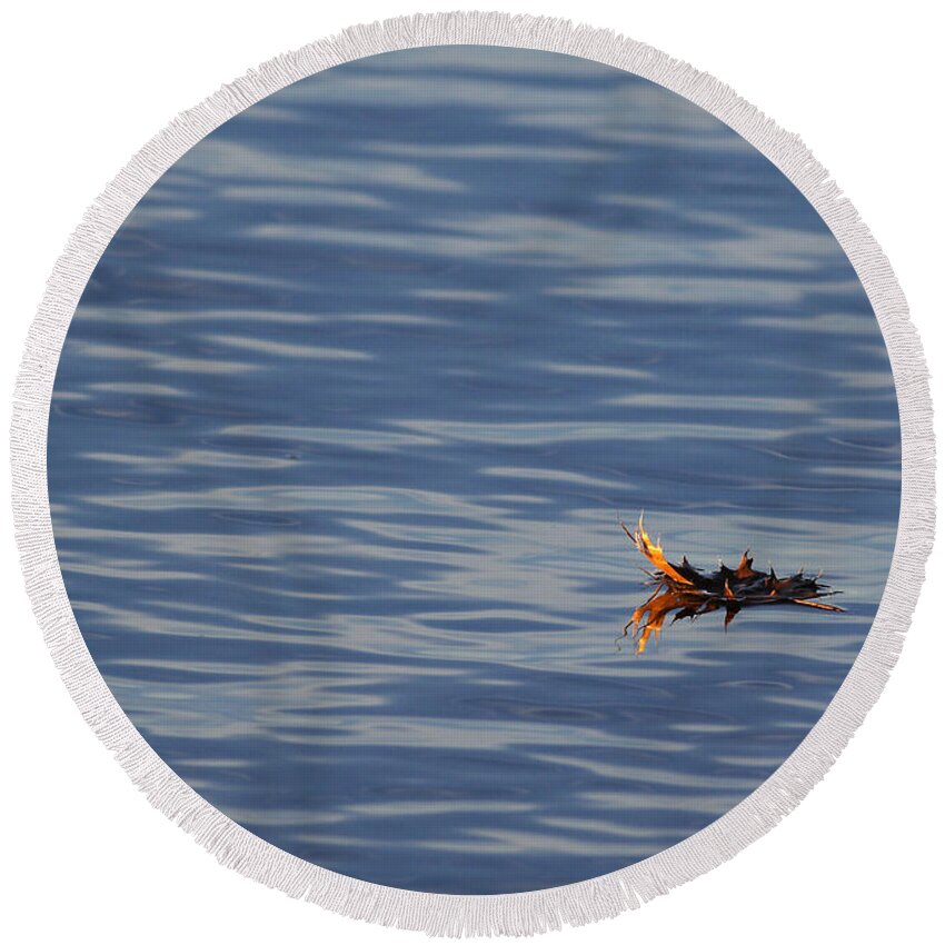Water Round Beach Towel featuring the photograph Oak Leaf Floating by Daniel Reed