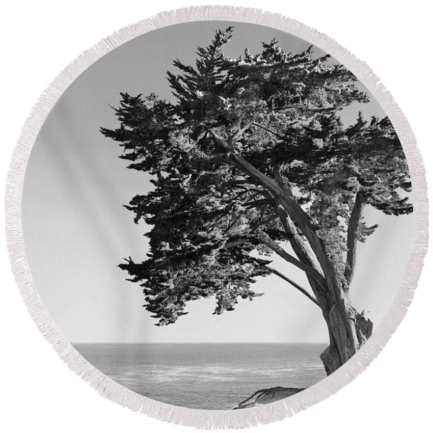 Tree Round Beach Towel featuring the photograph Old Growth by Paul Topp