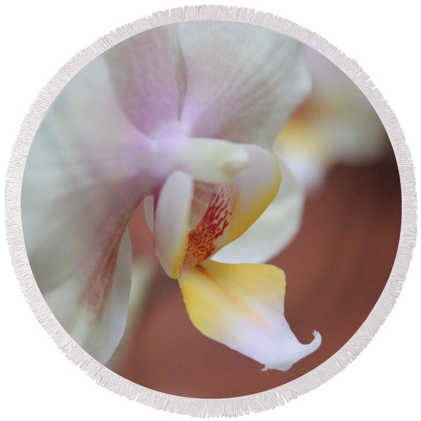 Art Round Beach Towel featuring the photograph Orchid II by Kelly Hazel