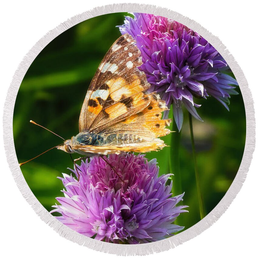 Butterfly Round Beach Towel featuring the photograph Painted lady -Vanessa Cardu by Bill and Linda Tiepelman