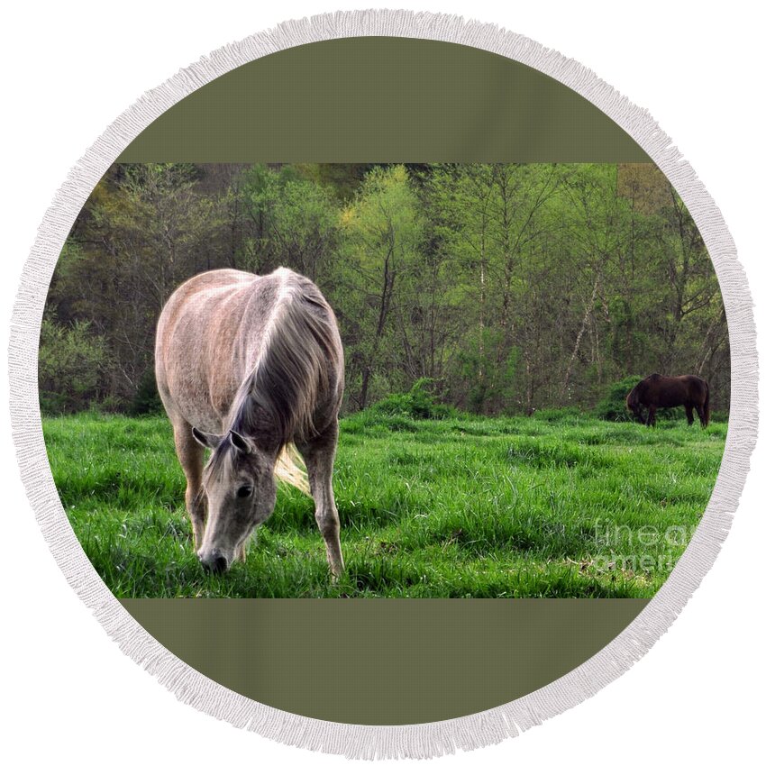 Horses Round Beach Towel featuring the photograph Peaceful Pasture by Lydia Holly