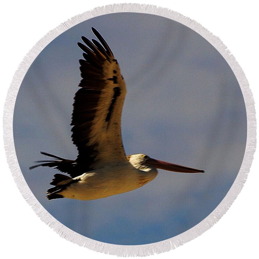 Australia Round Beach Towel featuring the photograph Pelican in flight by Blair Stuart