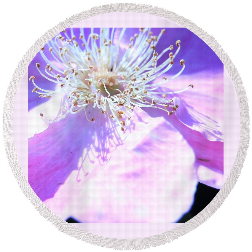 Flower Round Beach Towel featuring the photograph Pink and Blue Flower by Donna Corless