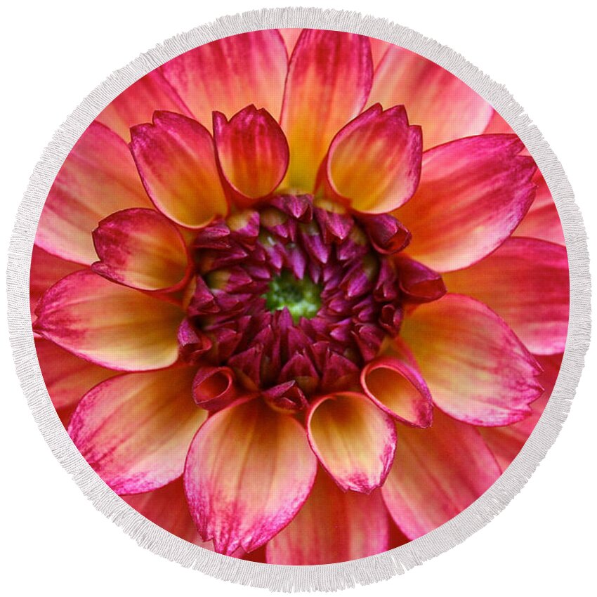 Landscape Round Beach Towel featuring the photograph Pink Burst by Susan Herber