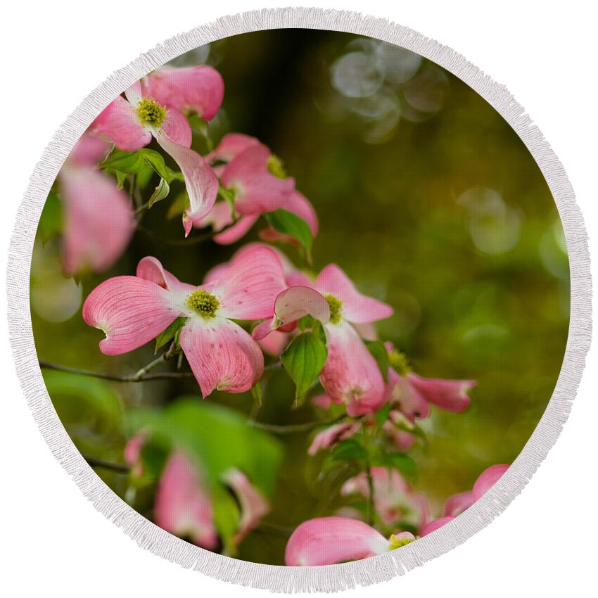 Blooms Round Beach Towel featuring the photograph Pink Dogwood Blooms by Lori Coleman