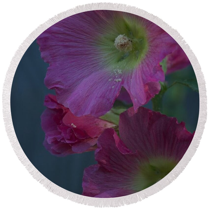 Flower Round Beach Towel featuring the photograph Piquant by Joseph Yarbrough