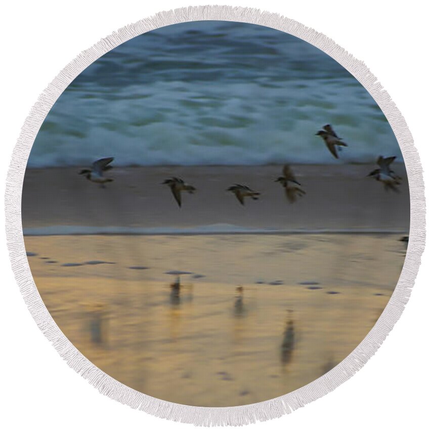 Phillip Island Round Beach Towel featuring the photograph Plovers at play on a stormy morning by Blair Stuart