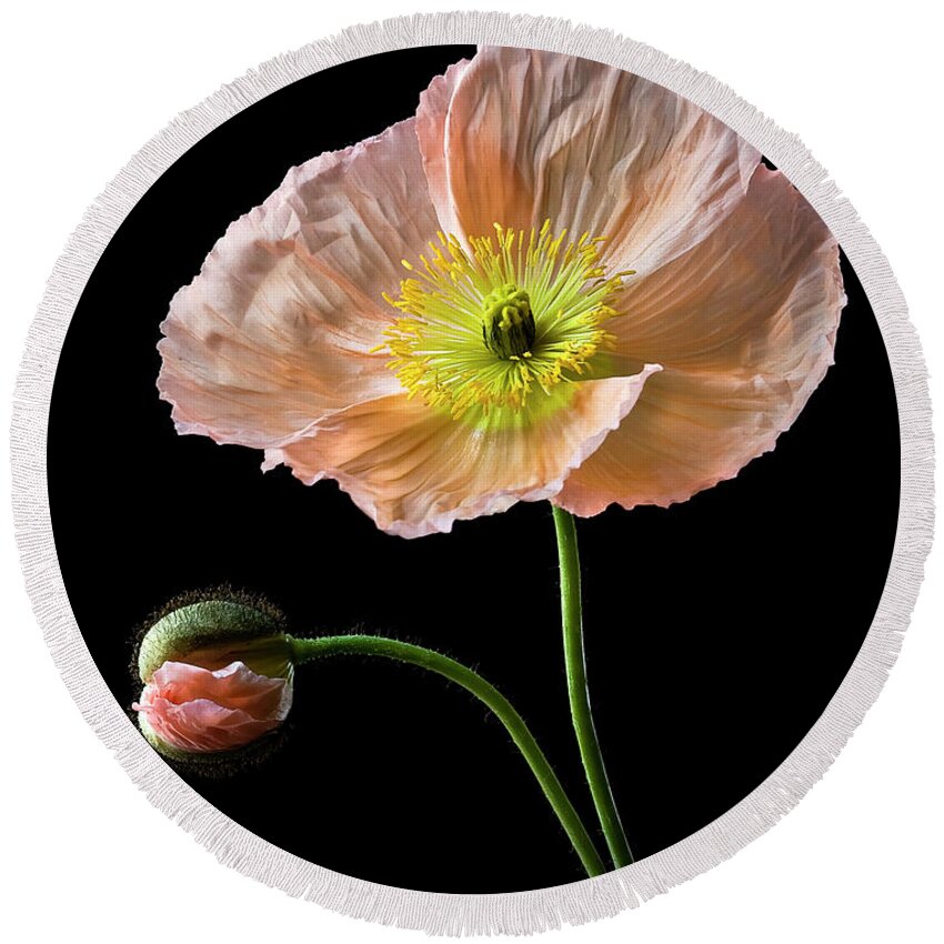 Flower Round Beach Towel featuring the photograph Poppy by Endre Balogh