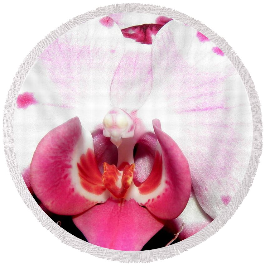 Orchid Round Beach Towel featuring the photograph Power of Beauty by Kim Galluzzo