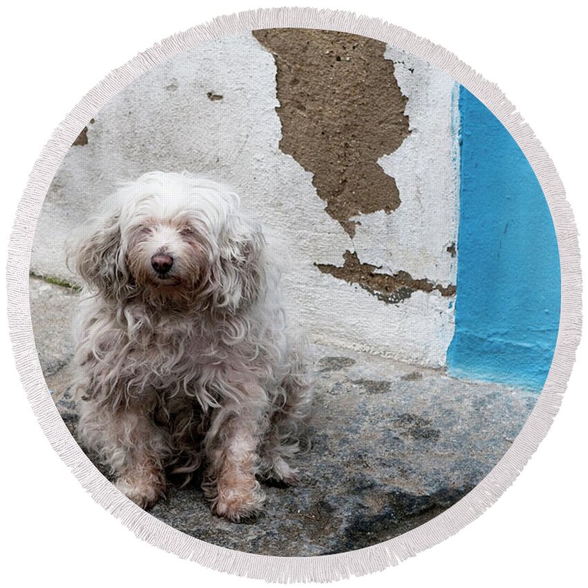 Dog Round Beach Towel featuring the photograph Puppy Espana by Lorraine Devon Wilke