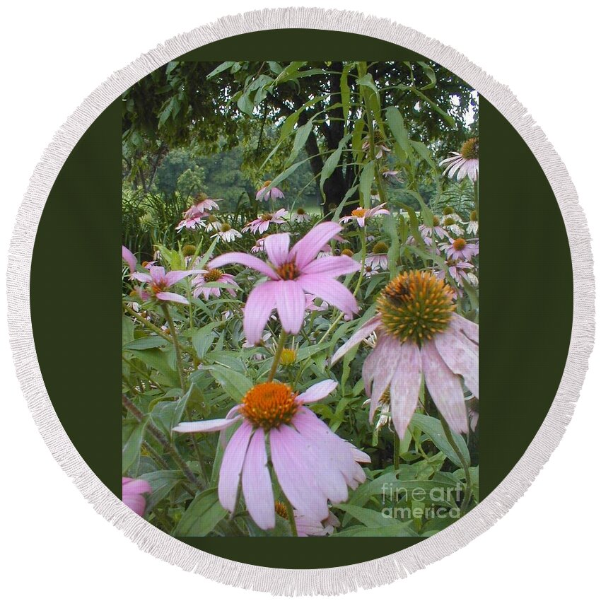 Flowers Round Beach Towel featuring the photograph Purple Coneflowers by Vonda Lawson-Rosa