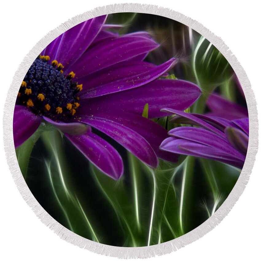 Abstract Round Beach Towel featuring the photograph Purple Daisy by Stelios Kleanthous