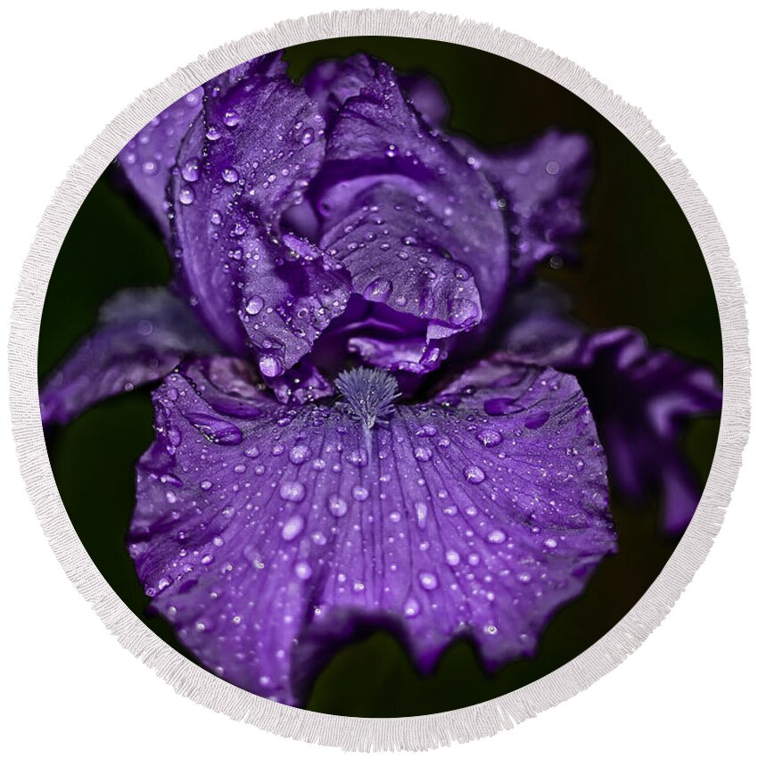Da*55 1.4 Round Beach Towel featuring the photograph Purple Iris with Water Drops by Lori Coleman