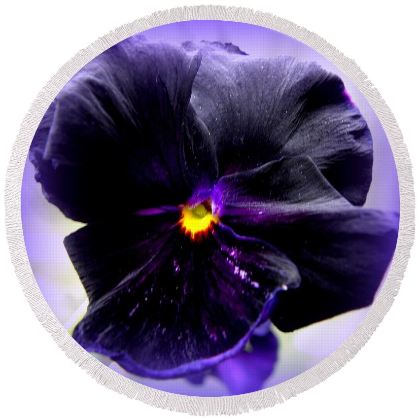 Pansy Round Beach Towel featuring the photograph Purple Majesty by Kim Galluzzo