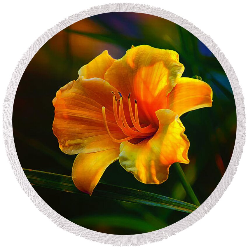 Daylily Round Beach Towel featuring the photograph Rainbow Daylily Heat by Bill and Linda Tiepelman