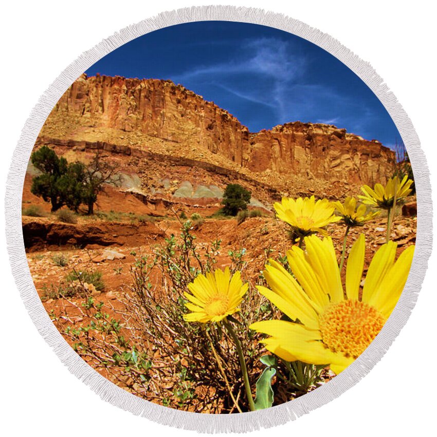 Yellow Flowers Round Beach Towel featuring the photograph Rainbow Garden by Adam Jewell