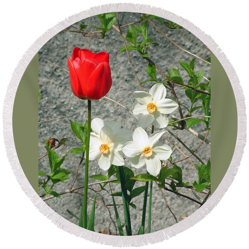 Tulip Round Beach Towel featuring the photograph Red Tulip by Richard James Digance