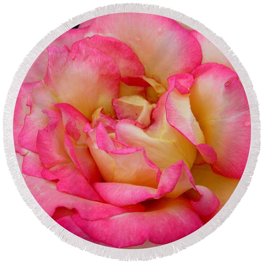 Floral Round Beach Towel featuring the photograph Rose 2 by Mark Gilman