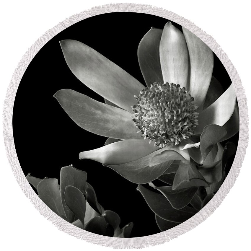 Flower Round Beach Towel featuring the photograph Safari Sunset in Black and White by Endre Balogh