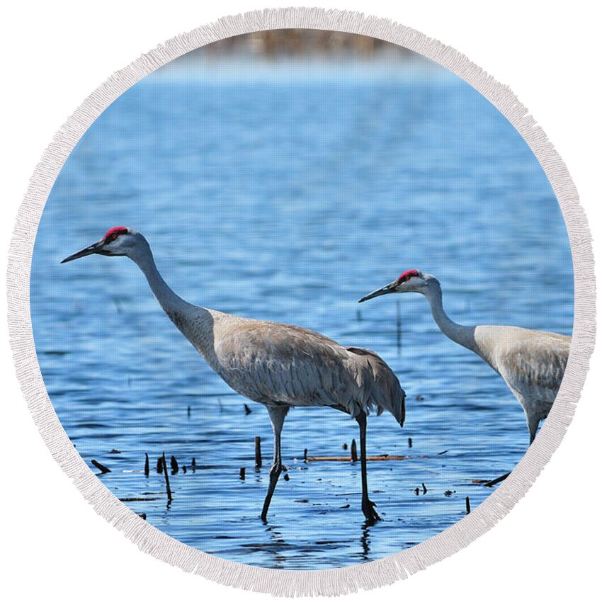 Yellowstone National Park Round Beach Towel featuring the photograph Sandhill Crane Couple by Greg Norrell
