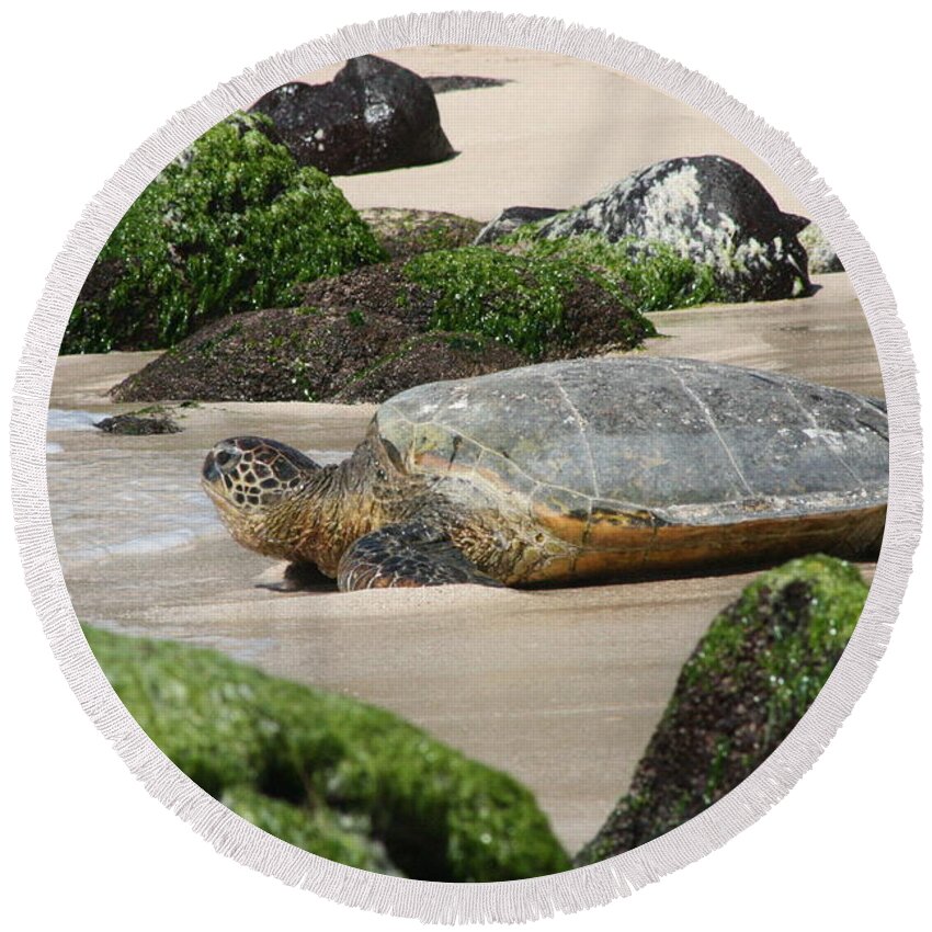 Jennifer Bright Art Round Beach Towel featuring the photograph Sea Turtle 1 by Jennifer Bright Burr