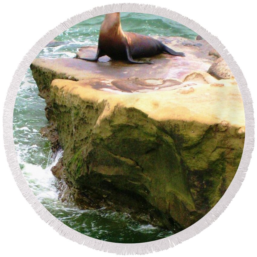 Seal Round Beach Towel featuring the photograph Seal Rock by Sue Halstenberg