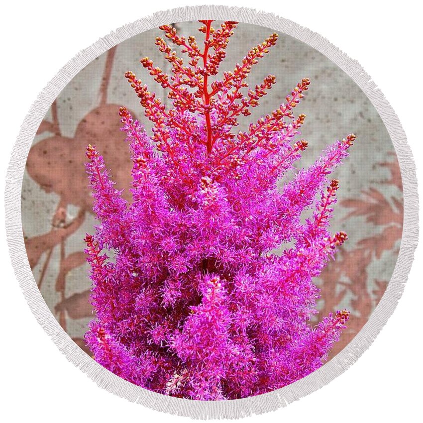 Astilbe Round Beach Towel featuring the photograph Shadowing of Astilbe by Randy Rosenberger