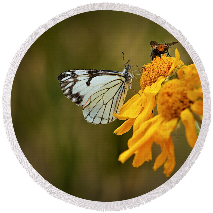Butterfly Round Beach Towel featuring the photograph Sharing by Phyllis Denton