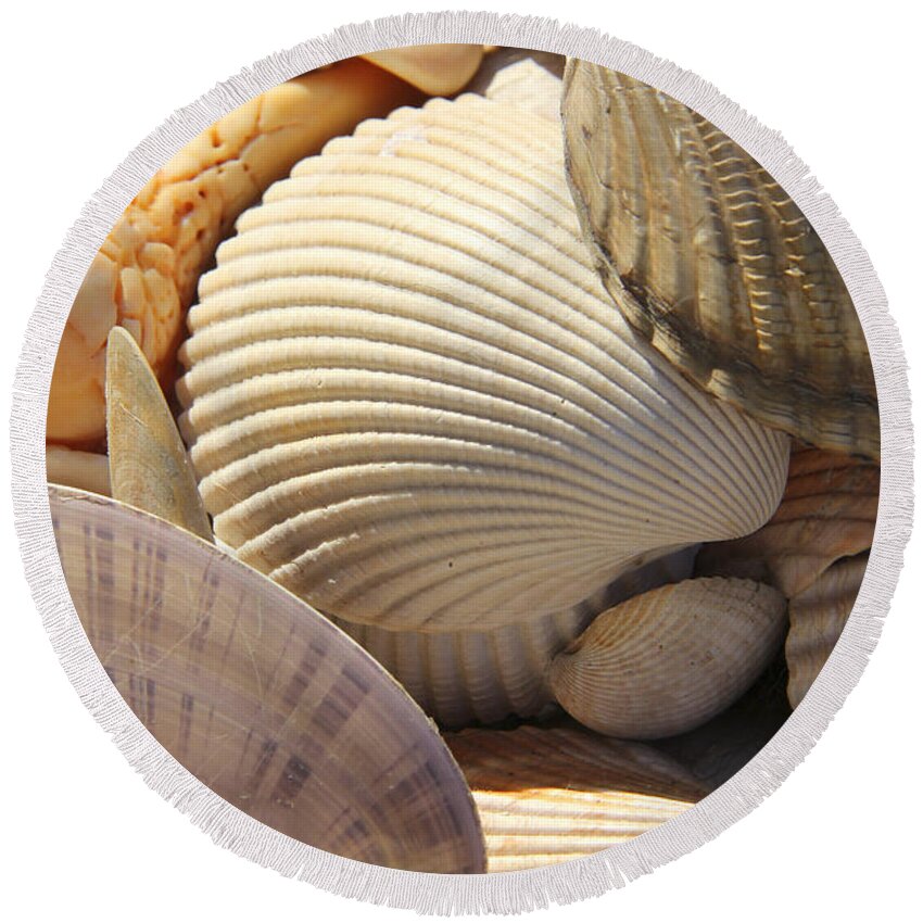 Sea Shells Round Beach Towel featuring the photograph Shells 1 by Mike McGlothlen