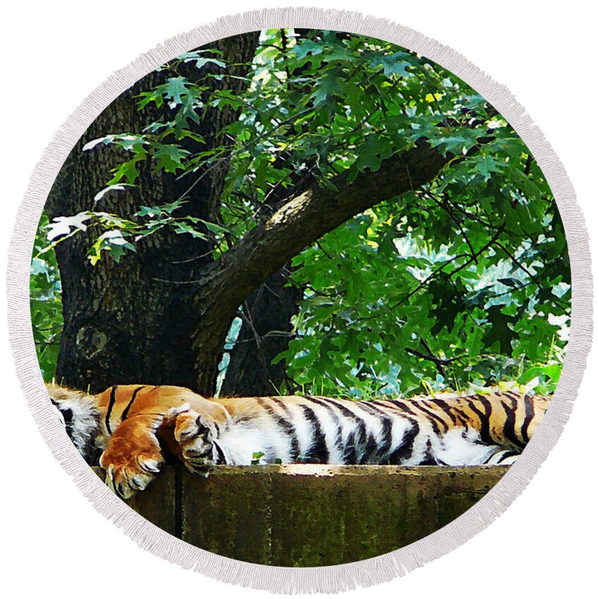 Tiger Round Beach Towel featuring the photograph Sleeping Tiger by Susan Savad
