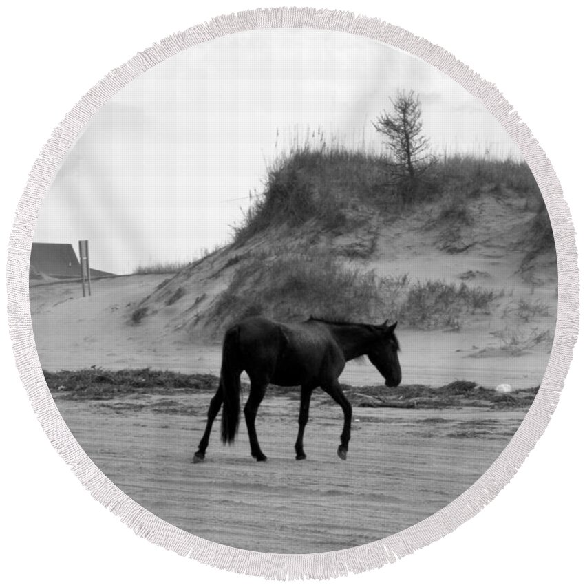Wild Round Beach Towel featuring the photograph slow down I'm coming by Kim Galluzzo